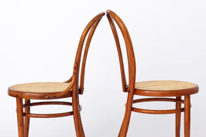 Nærbillede af benene på en Thonet-stol fra 1950'erne. Let buede træben med naturlig patina, der understreger stolens vintage-charme.