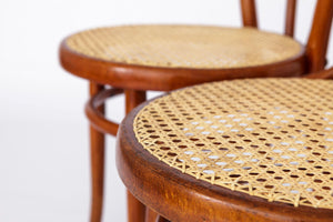 Nærbillede af benene på en Thonet-stol fra 1950'erne. Let buede træben med naturlig patina, der understreger stolens vintage-charme.