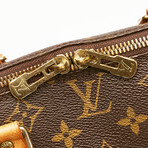 Louis Vuitton monogram alma pm