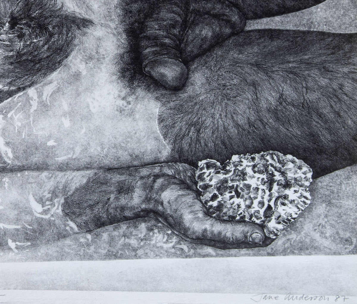 Jane Anderson - 'Friday' / Litografi