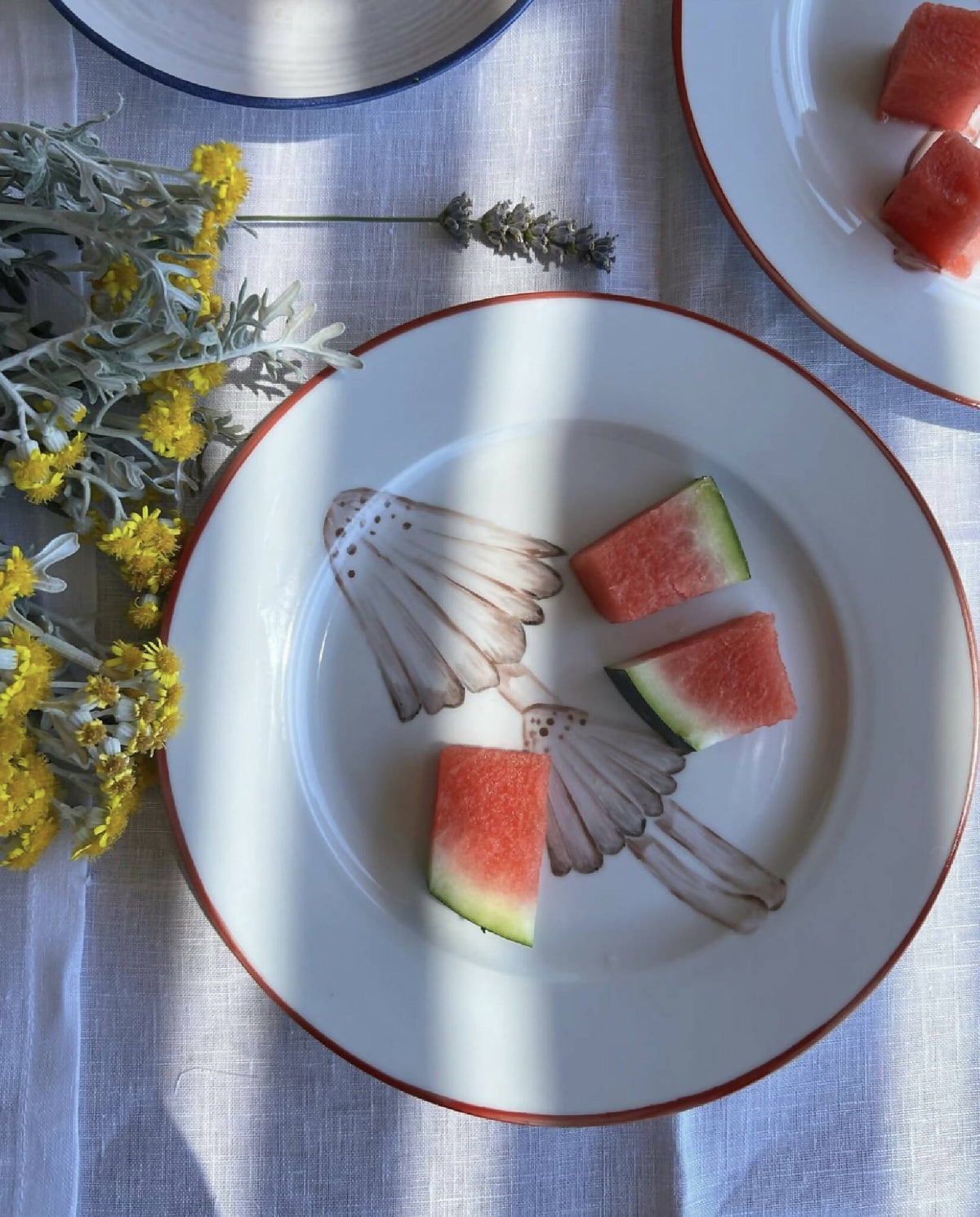 Mushroom Collection - Set af 6