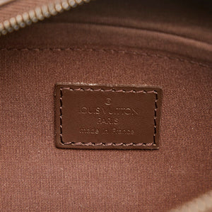 Louis Vuitton – Brun epi danura pm