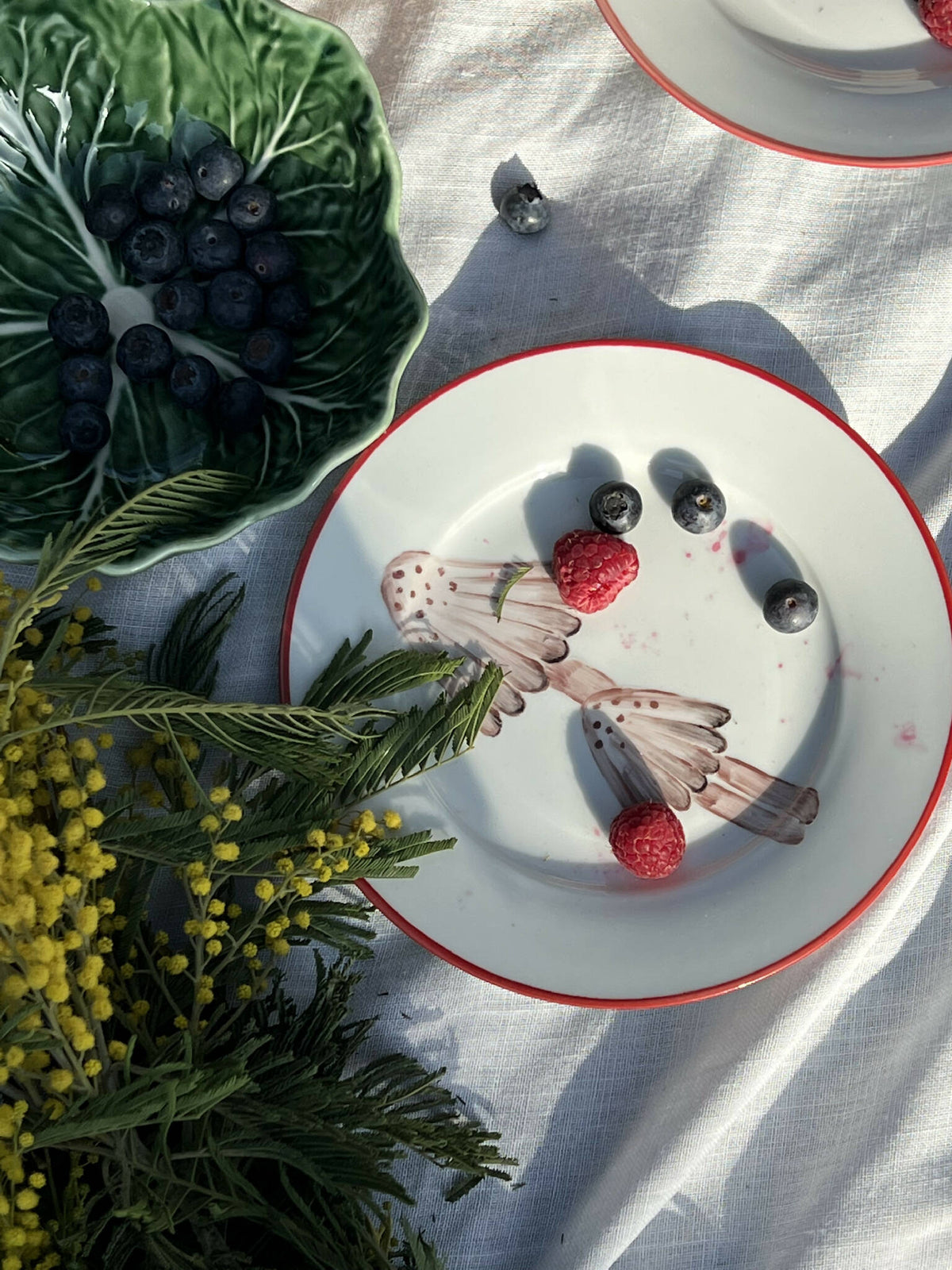 Mushroom Collection - Set af 6