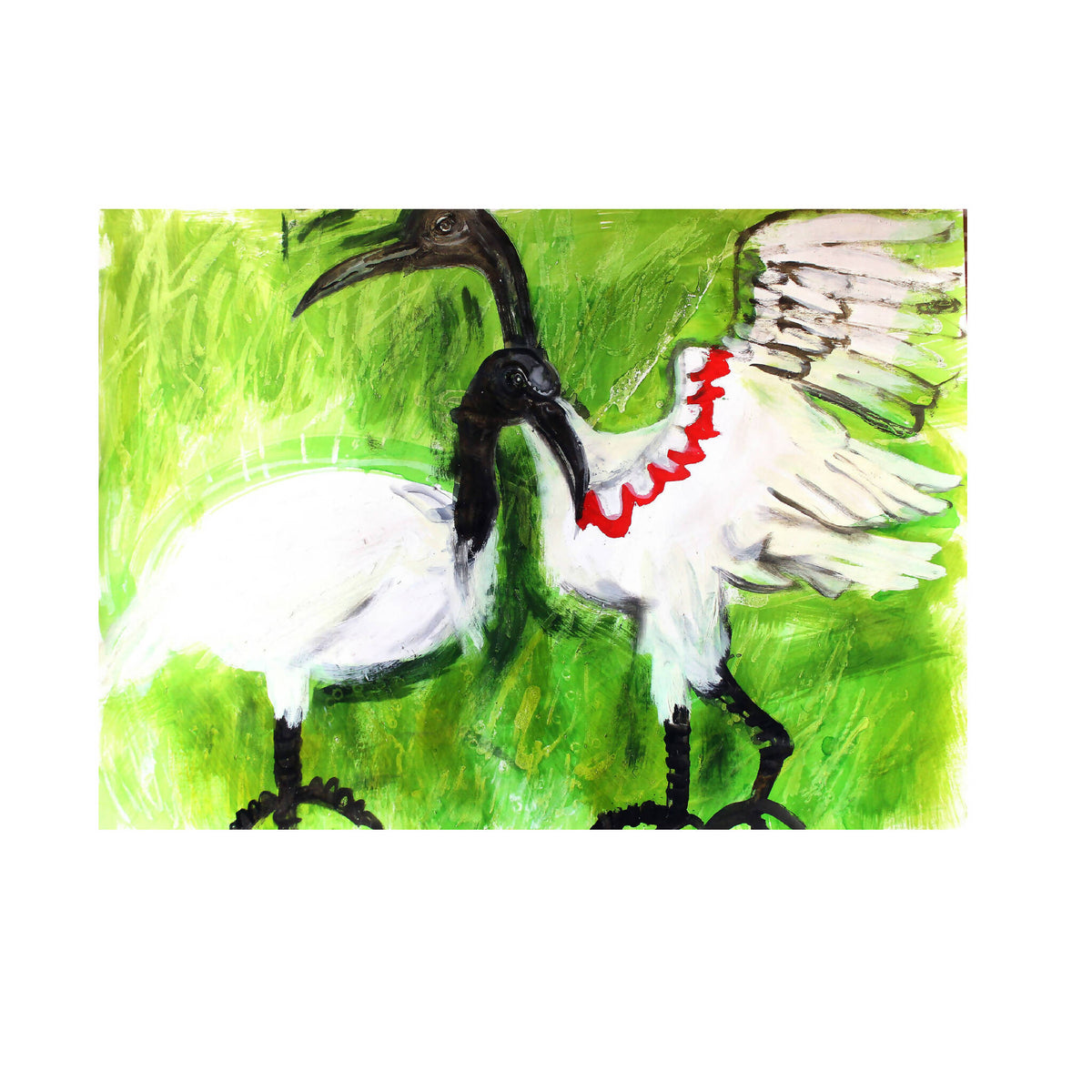 Selva Nara – En Pasto