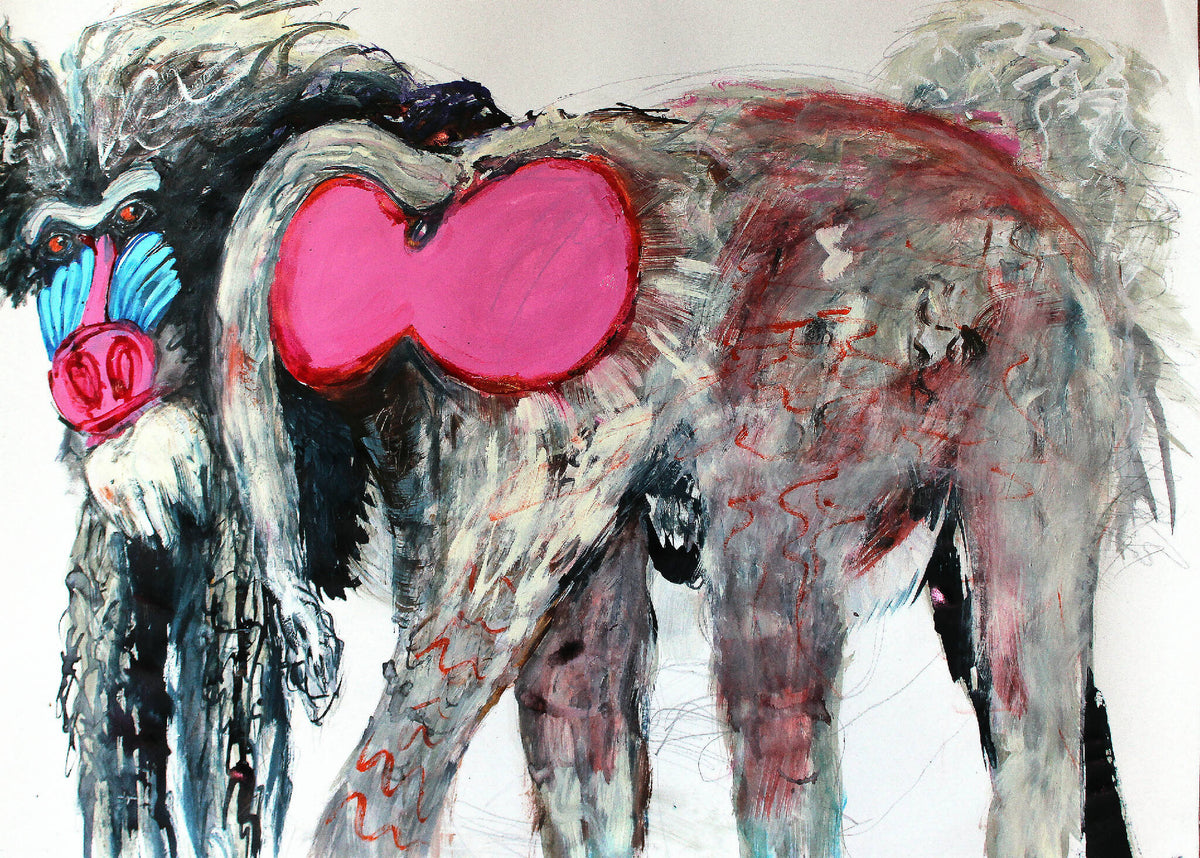 Selva Nara – Va que Bum