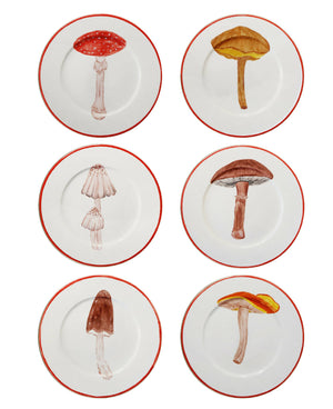 Mushroom Collection - Set of 6