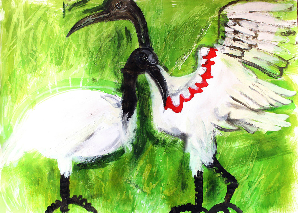 Selva Nara – En Pasto