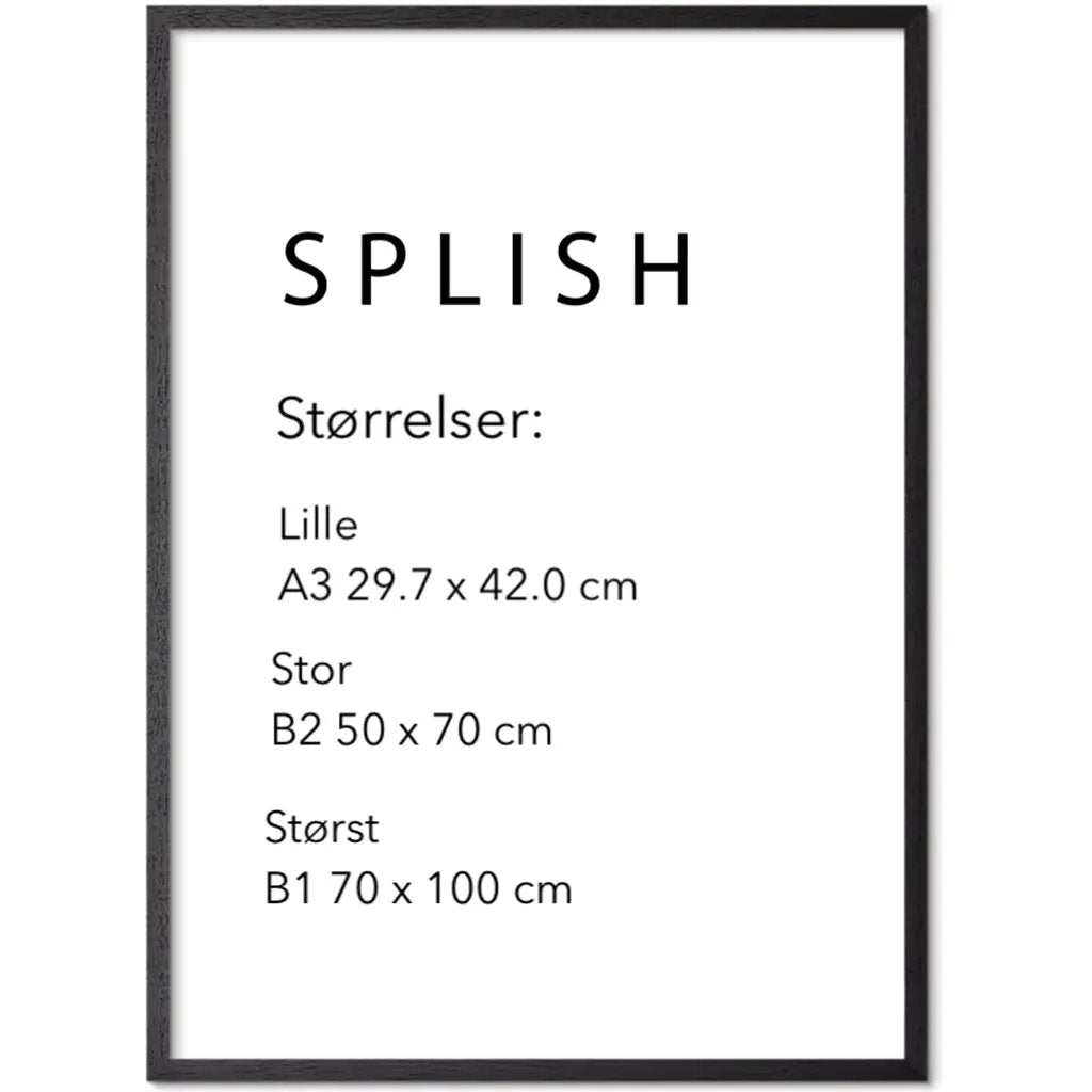 Brian Rattiner – Sunset Shell - SPLISH