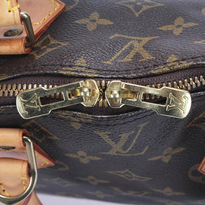 Louis Vuitton brun monogram alma pm