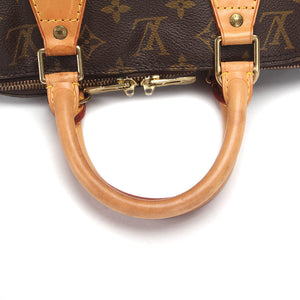 Louis Vuitton brun monogram alma pm