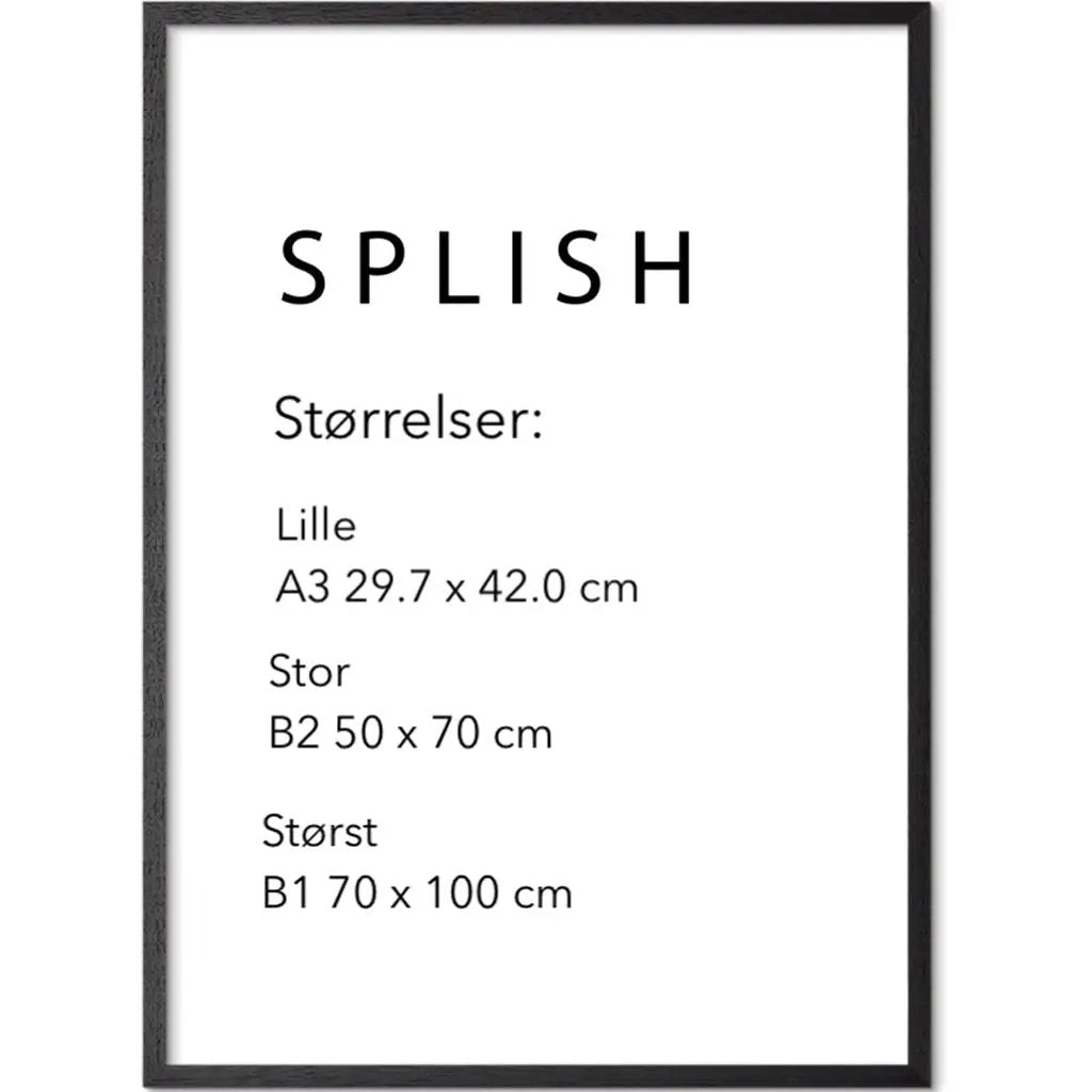 Joe Warrior-Walker – Eagles Nest - SPLISH