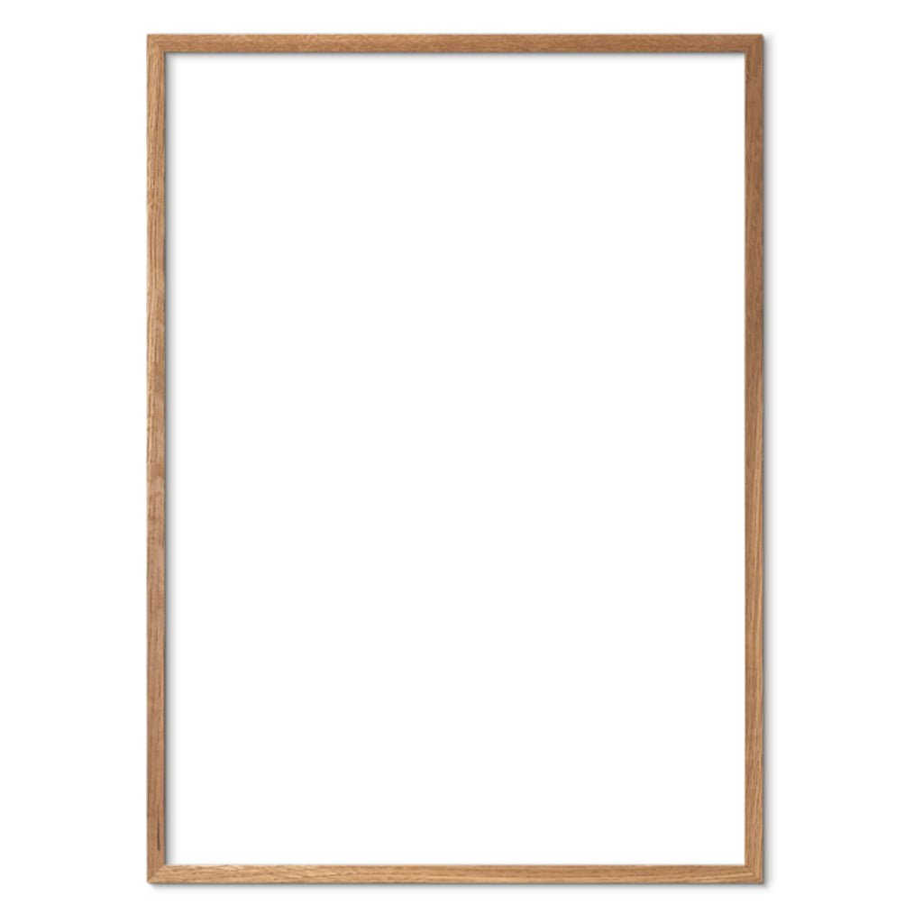 Lys egetræ - SPLISH