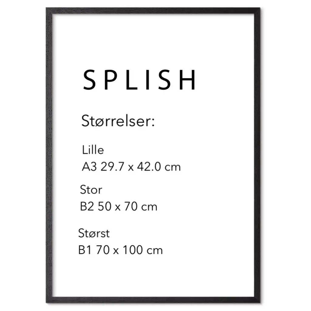 Rasmus Højfeldt – Consciousness - SPLISH