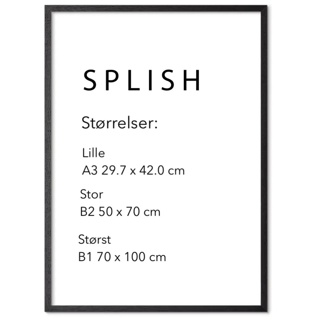 Rasmus Højfeldt – Erasing the Mask - SPLISH