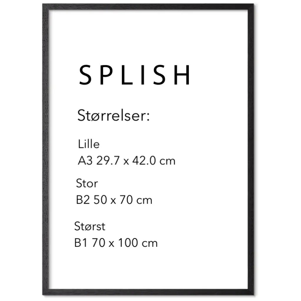 Stefan de Jaeger – Un regard - SPLISH